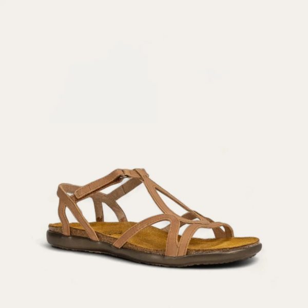 Dorith - Image 2