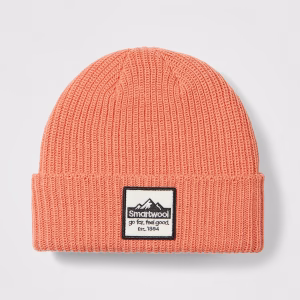 Smartwool Patch Beanie